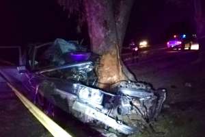 Un hombre murió tras impactar su auto contra un árbol en la zona de Las Rosas