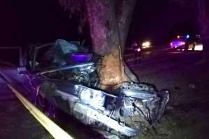 un hombre murió tras impactar su auto contra un árbol en la zona de las rosas