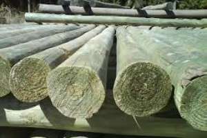 Robó 15 postes de madera en una cooperativa de Pan de Azúcar y le impusieron medidas 