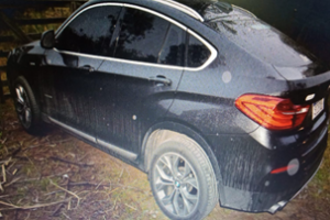 Robaba autos, realizaba hurtos y además alquilaba coches para cometer delitos