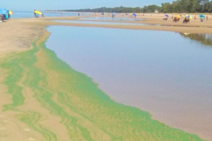 MVOTMA ofrece a las intendencias dos nuevas herramientas para detectar cianobacterias