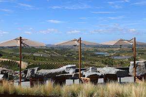 Bodegas de Maldonado se unen al Día Internacional del Enoturismo