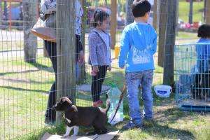 Nueva jornada de adopciones de mascotas en el Parque La Loma