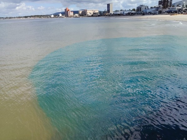 Concejala denuncia c...