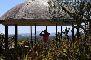 Arboretum Lussich: desde este 24 de noviembre regirá el horario de verano