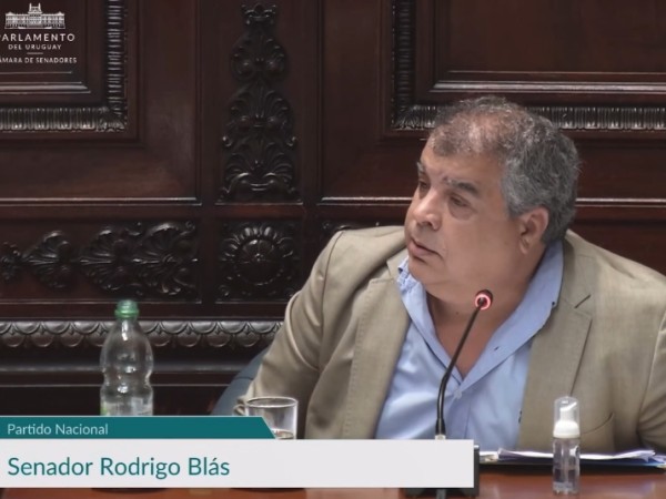 Blás impulsa proyect...