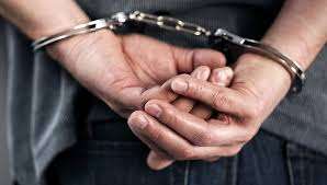 Robó en un galpón de Cerro Pelado y tendrá que cumplir nueve meses de cárcel