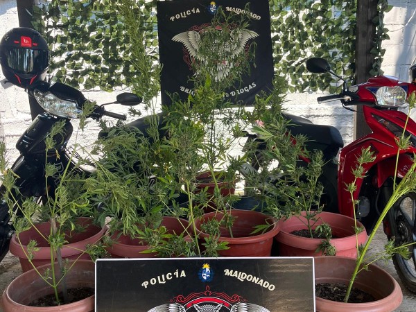 Lo investigaban por...