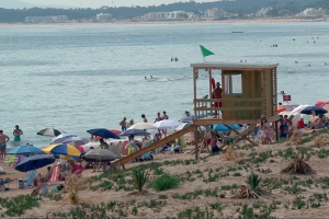 Guardavidas: ya está disponible la aplicación con información y servicios en las playas