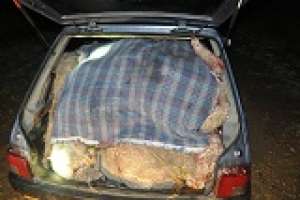 Tres hombres oriundos de Maldonado están detenidos en Lavalleja por abigeato