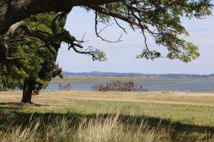 Este viernes se realizará la última demolición en El Placer