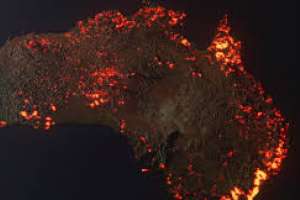 Puntaesteño en Australia: ya murieron 27 personas y casi un billón de animales en los incendios