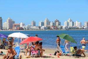 Detectaron el alga que deja una sustancia gomosa en algunas playas de Punta del Este