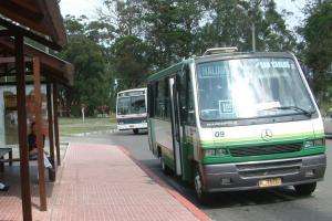 Se modifican recorridos de ómnibus debido a la Categorización de las Escuelas de Samba