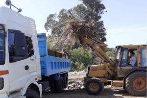 Retomaron la limpieza de basurales en distintos puntos de Piriápolis
