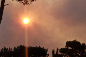 Todavía se trabaja para extinguir los incendios en el Cerro Pan de Azúcar y en Manantiales