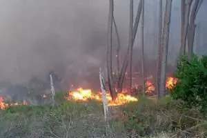 Incendio en Manantiales: obligan a salir del país al argentino detenido cuando acudía a ayudar a su hermana