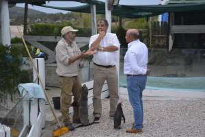 Proponen transformar “S.O.S. Rescate de Fauna Marina” en un centro de estudios con interés turístico