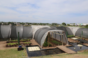 Se instaló un sistema de riego en la Planta de Elaboración Mazzoni