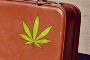 Turismo quiere poner en análisis cambios para que turistas puedan comprar cannabis