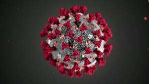 Un médico de Maldonado es el primer caso de coronavirus local