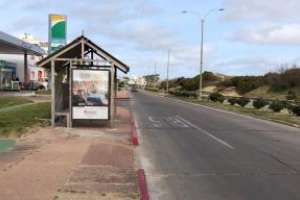 Empresas de transporte colectivo adecuan y reducen el servicio