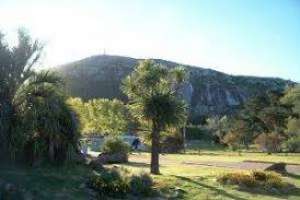 Estación de fauna y flora del Cerro Pan de Azúcar ofrece visitas virtuales