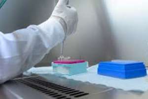 Coronavirus Uruguay: 406 casos positivos, 6 muertos