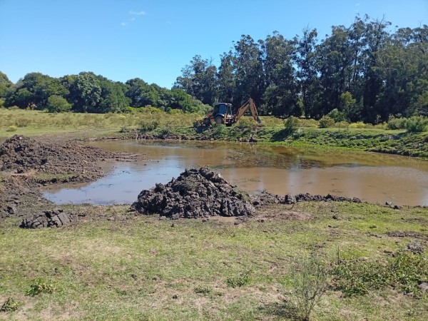 Maldonado inició lim...
