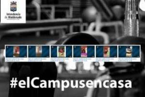 Profesores de Deportes de la IDM acompañan a la población mediante YouTube