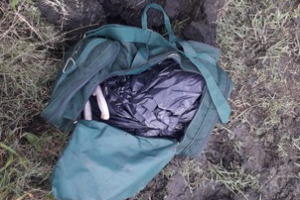 Dos hombres fueron condenados por el caso de abigeato en la zona rural de San Carlos