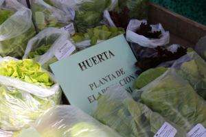 Intendencia entregará los paquetes de semillas otoño-invierno a partir del 22 de abril