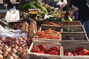 Con una “una prueba piloto” se habilitará este domingo la feria vecinal de Maldonado