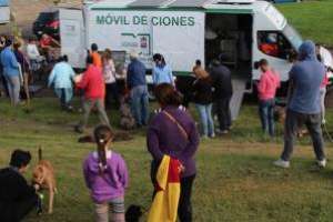 Ante la emergencia sanitaria se suspende el servicio de castraciones caninas