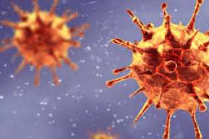 Seis positivos nuevos de Covid-19 llevan el acumulado a 717 casos en Uruguay