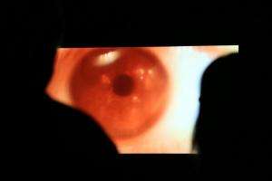 Espacio virtual: nueva propuesta de Cultura en Red para disfrutar del arte en casa