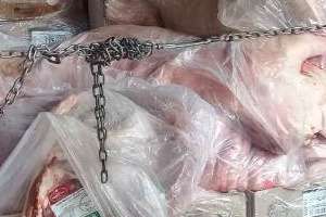 Fue incautado un cargamento de contrabando de carne de pollo y porcina que tenía por destino su comercialización en Maldonado