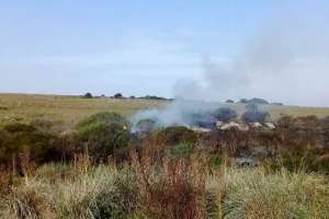 pan de azúcar: bomberos combatieron incendio de campo en ruta 60 