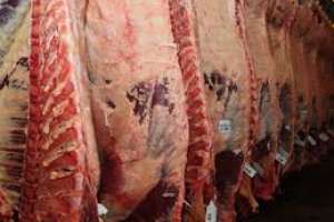 Mesa: precios de exportación de la carne bajaron a causa de la pandemia, “pero no son tan malos”
