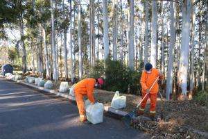 Jornales Solidarios: sorteados comienzan a trabajar este lunes