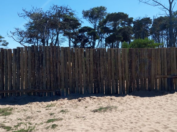 Directora de Medio Ambiente dijo que en Ocean Park “no se está produciendo un impacto más allá del visual”
