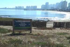 Día del Medio Ambiente: destacan experiencias exitosas en el cuidado del espacio costero de Maldonado