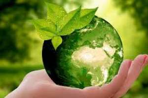 Realizan movilización esta tarde en Maldonado en el Día Mundial del Medio ambiente