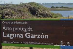 Contratados de DINAMA alertan por “desmantelamiento” en la capacidad de aplicación de políticas ambientales
