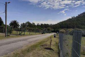 Seis estudiantes finalizan pasantía de Guardaparques