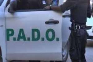 Operativo en San Carlos: incautaron tres lechones faenados y una moto robada 