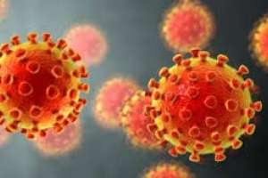 Martes con 5 casos nuevos de Covid-19 en todo el país