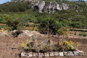 300 ejemplares de 53 especies habitan las casi 90 hás. de la Estación de Fauna de Piriápolis