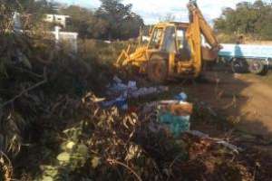 Levantan podas en toda la franja costera de Piriápolis