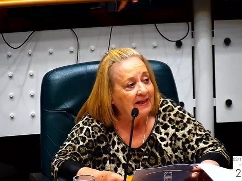 Edila solicita mantenimiento de la pista de patín del parque La Loma